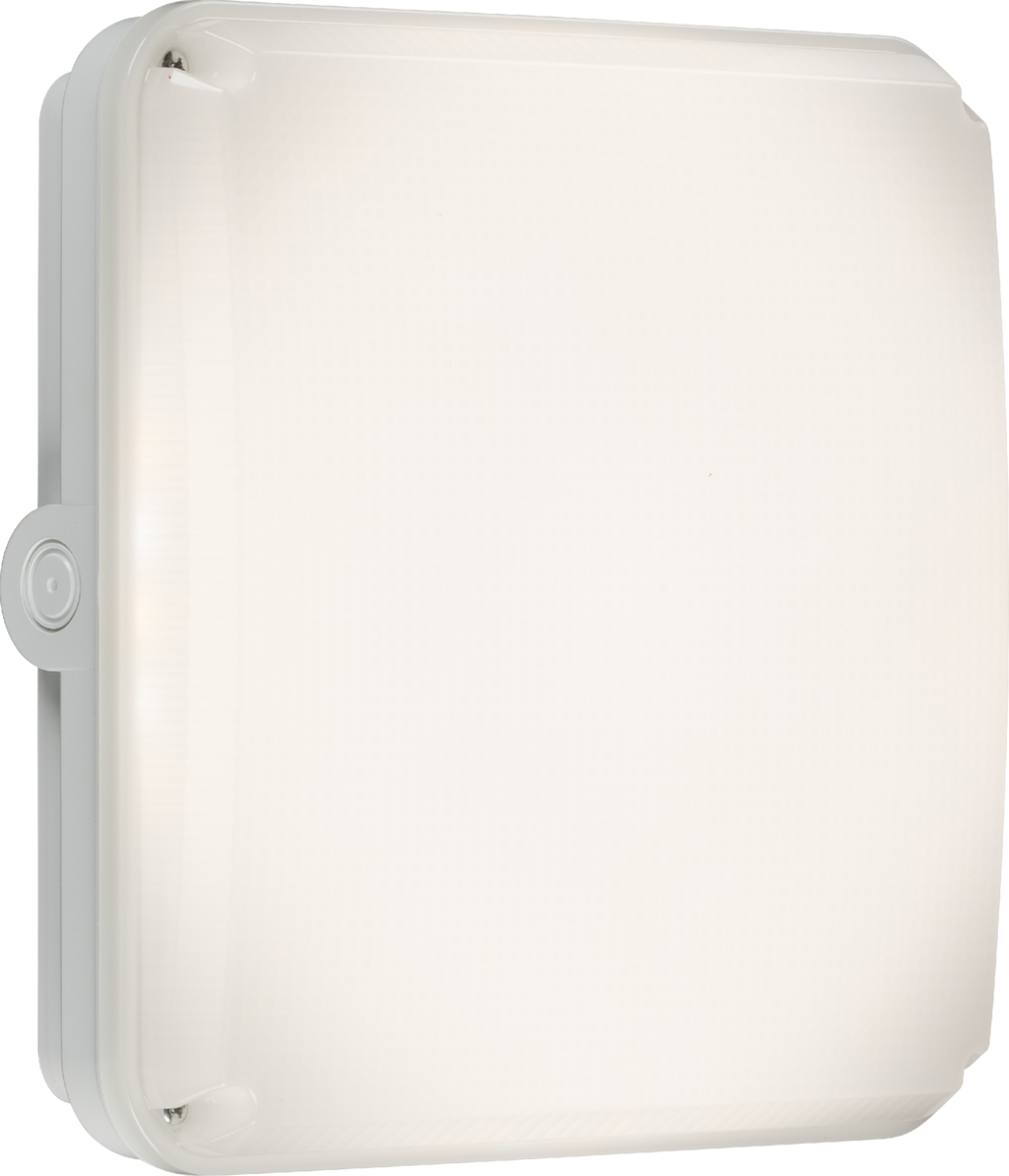 Knightsbridge: TNXQCW, Square White Casing for TENAX Quad, IP65, Durable Polycarbonate, Weatherproof, IK10 Impact Rated