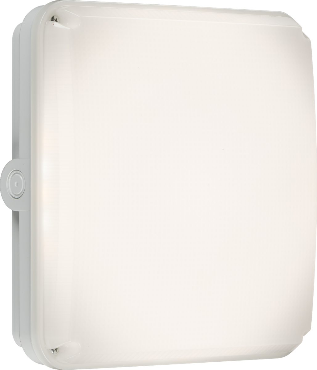 Knightsbridge: TNXQCW, Square White Casing for TENAX Quad, IP65, Durable Polycarbonate, Weatherproof, IK10 Impact Rated