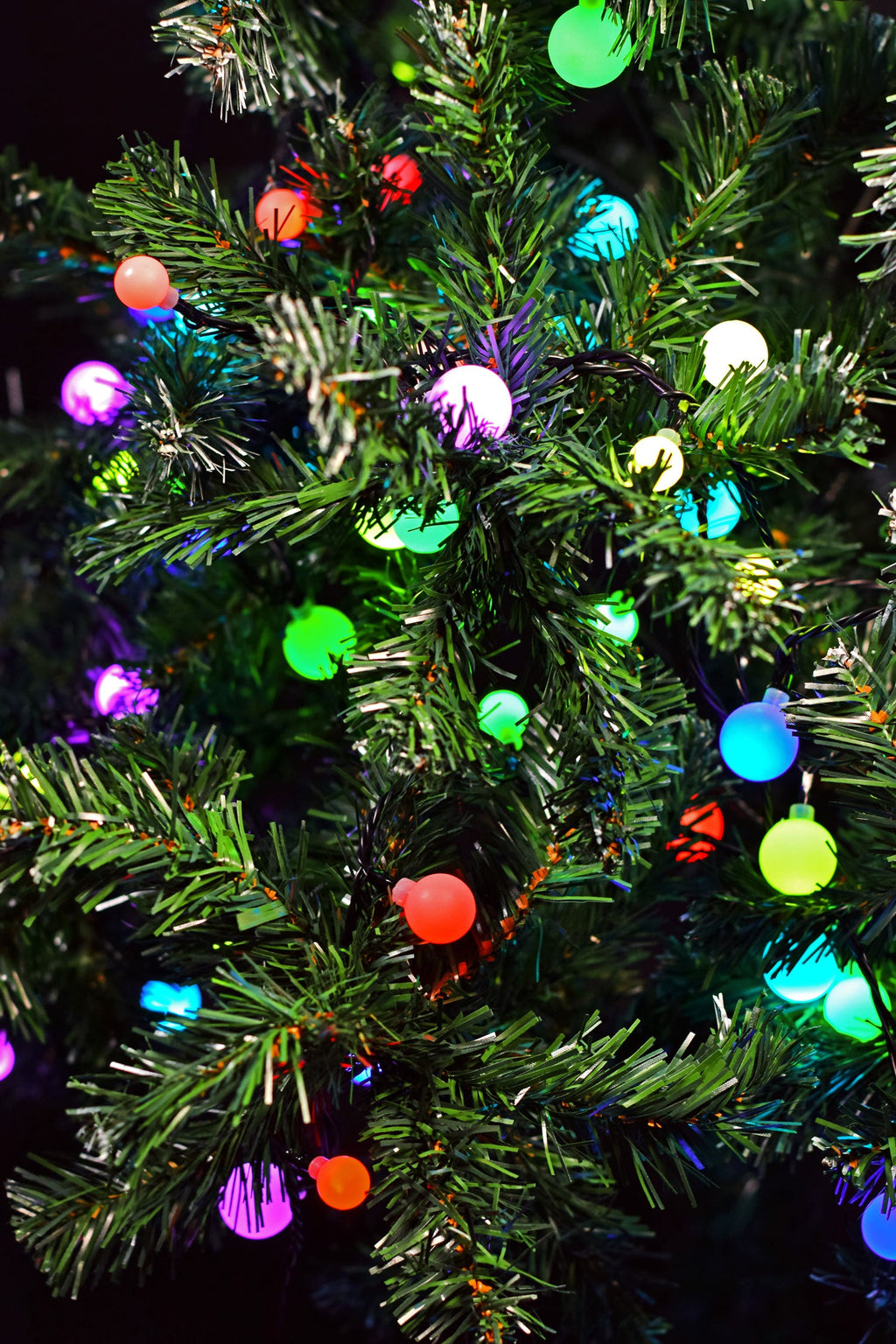 LYYT: 155.653UK, 20m Mixed RGB Berry Lights, 200 LEDs, Remote Controlled, IP44 Rated, 25 Lighting Modes, Timer Function