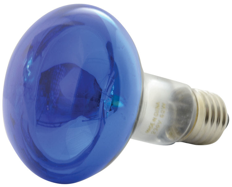 QTX: 160.003UK, R80 Blue Reflector Bulb, E27 Fitting, 60W, 230Vac, 750 Hours